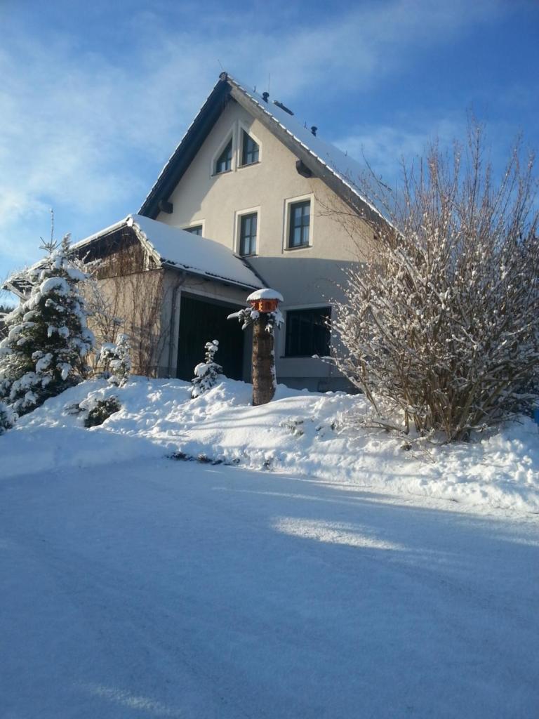 "Heiterer Blick" photo 4
