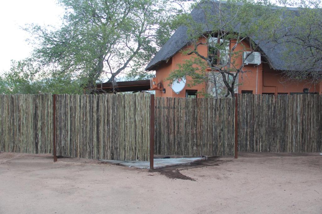 Mushi Maningi photo 3