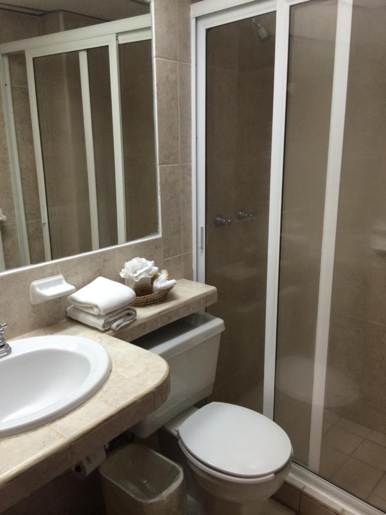 Двухместный (Стандартный двухместный номер с 1 кроватью), Emperador Vallarta Beachfront Hotel and Suites