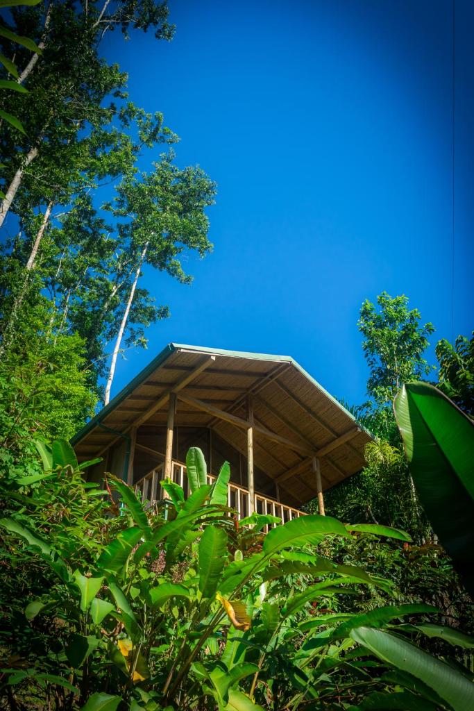 Pacuare Outdoor Center photo 1