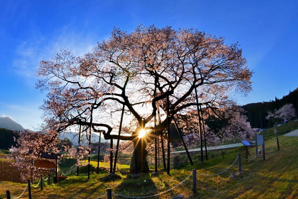Fujiiso (Adult Only) photo 3