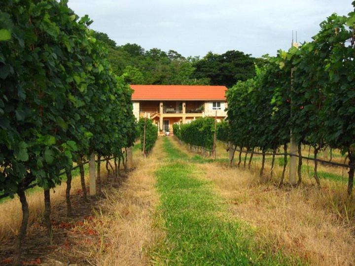 GRANMONTE Wine Cottage photo 4