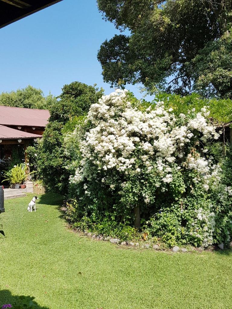Sta. Marta B&B photo 1