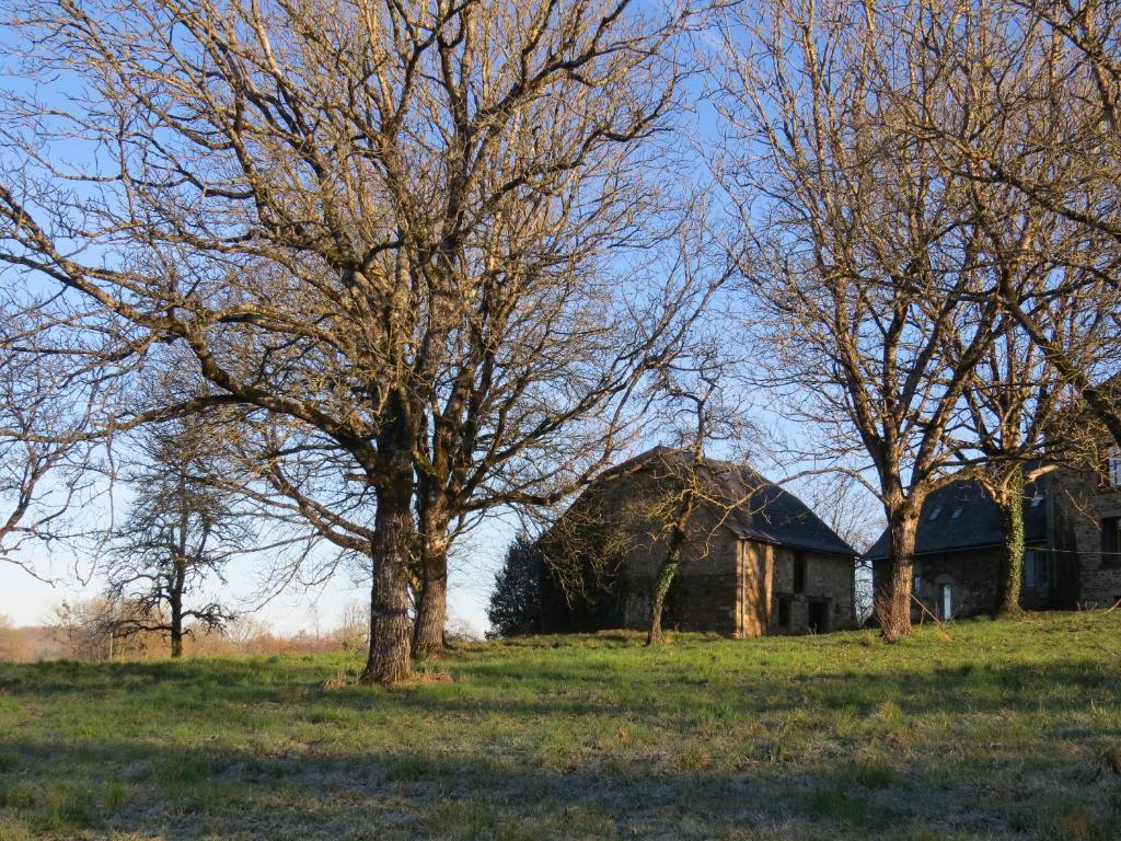 Domaine de la Clauzade photo 4