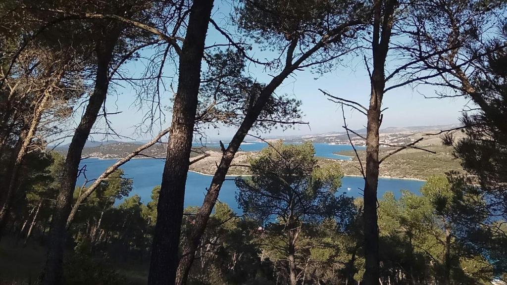 Apartments Vila Marija photo 4