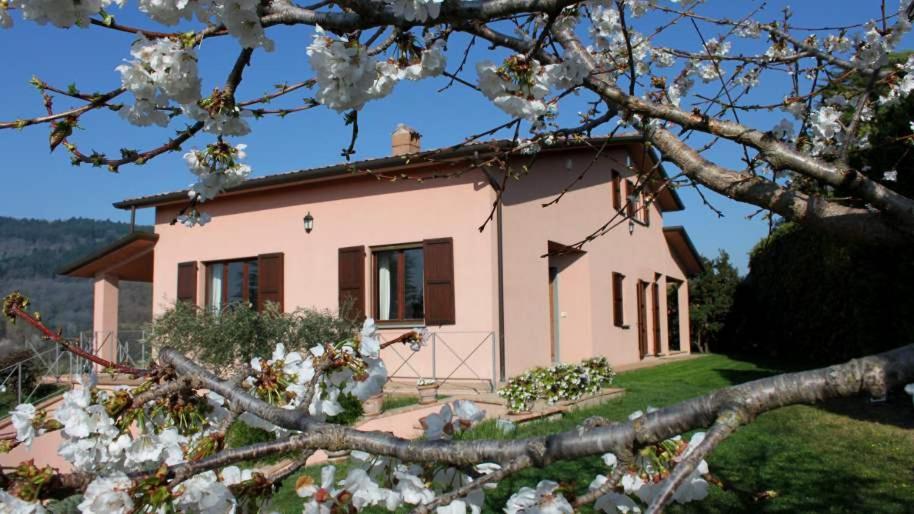 Alta Perugia B&B photo 3