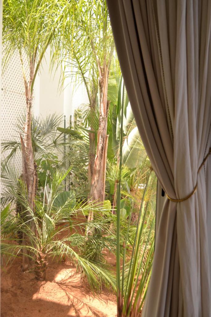 Двухместный (Двухместный номер Jaafar), Riad Zyo