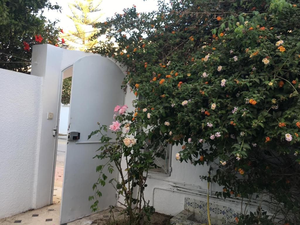 Studio Marsa