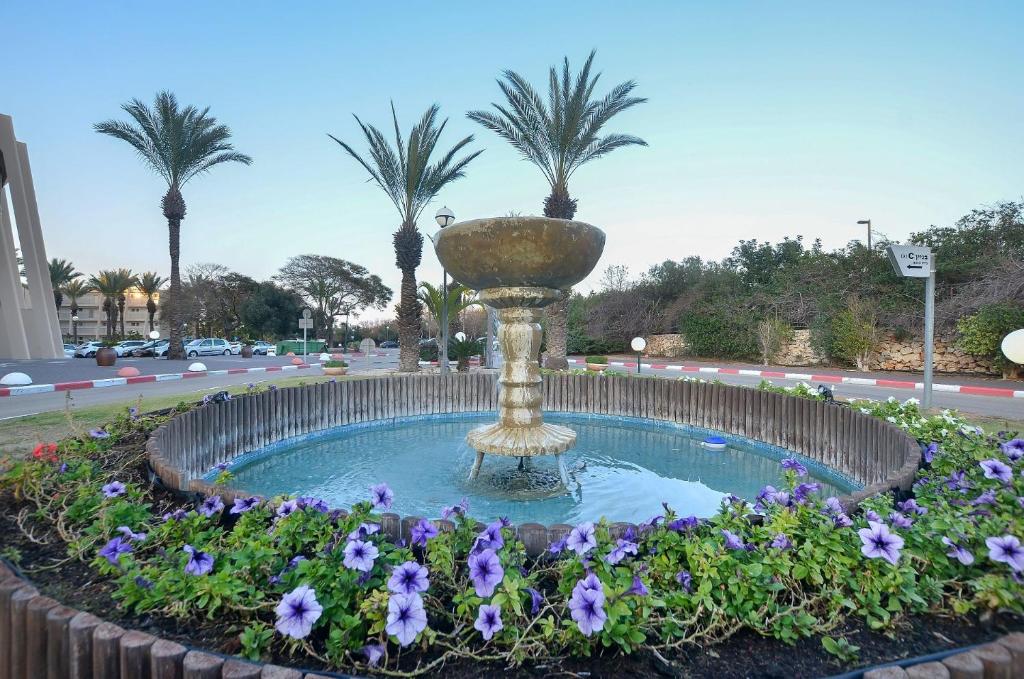 Caesarea Vacation Rooms photo 3