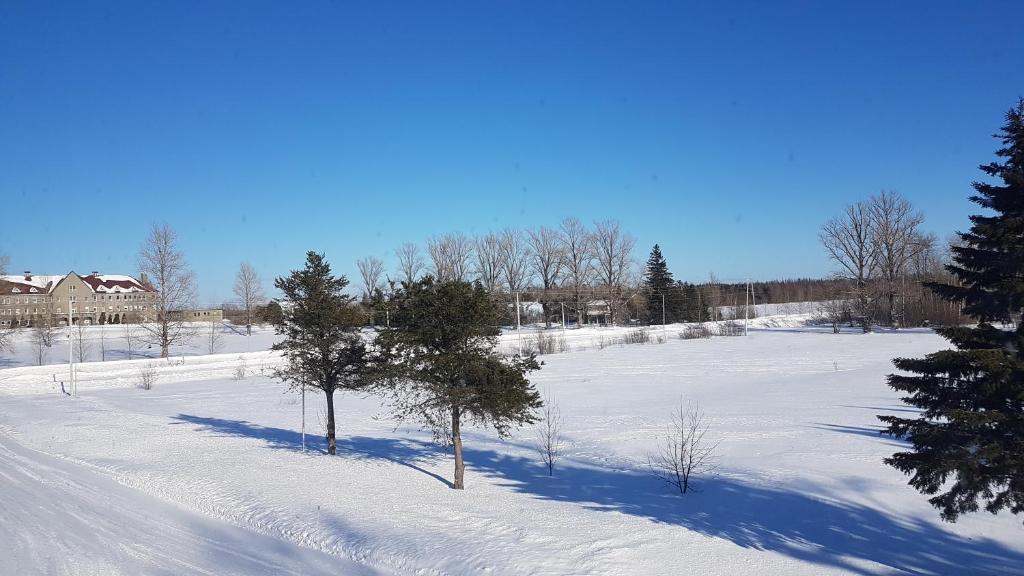 Domaine St-Viateur photo 1