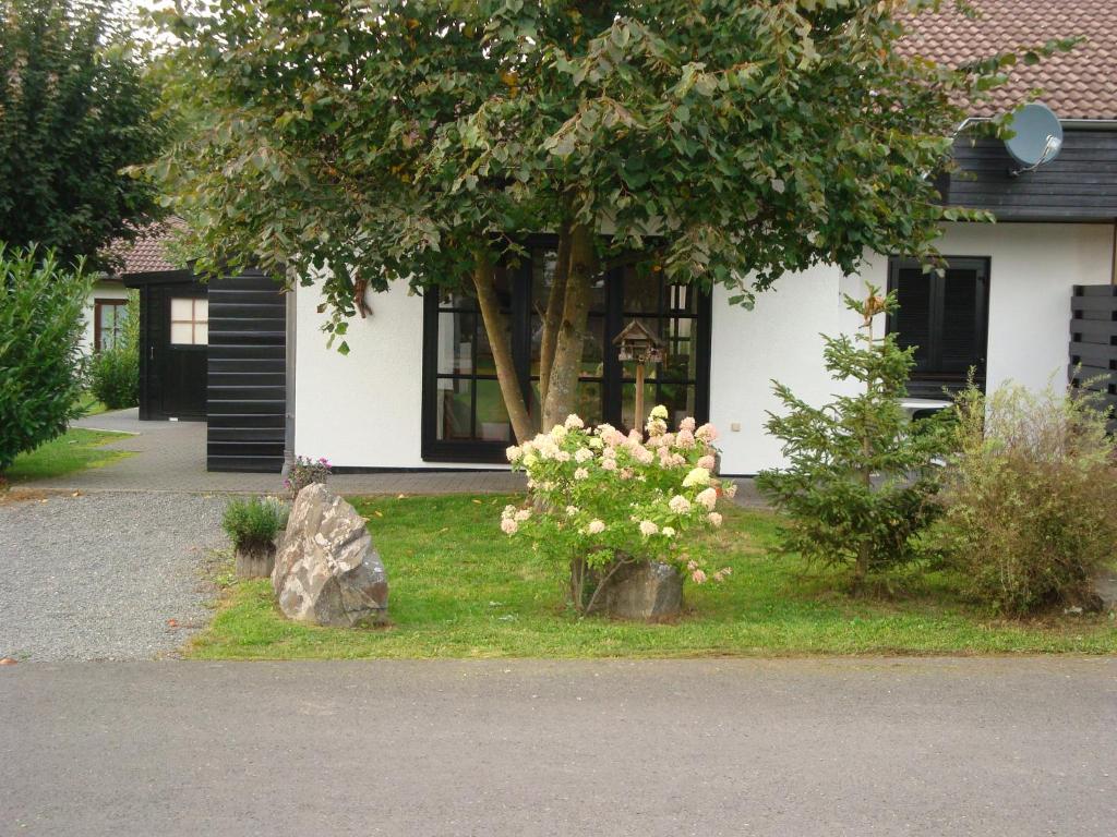 Frankenau/Sauerland-Hasewinkel photo 1