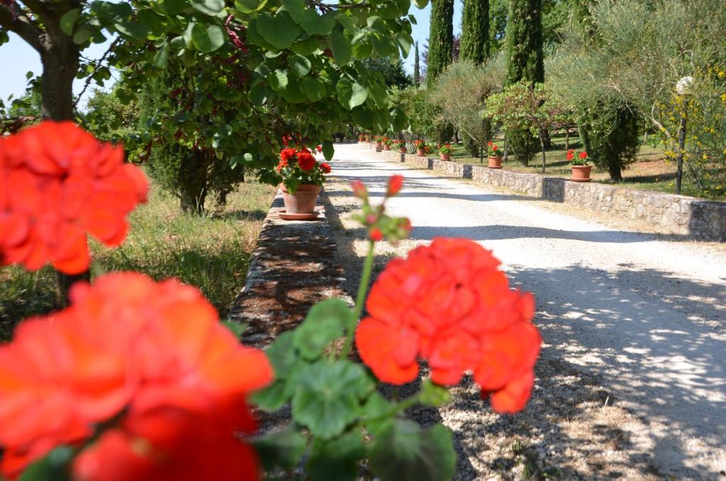 Casale Santa Caterina photo 2