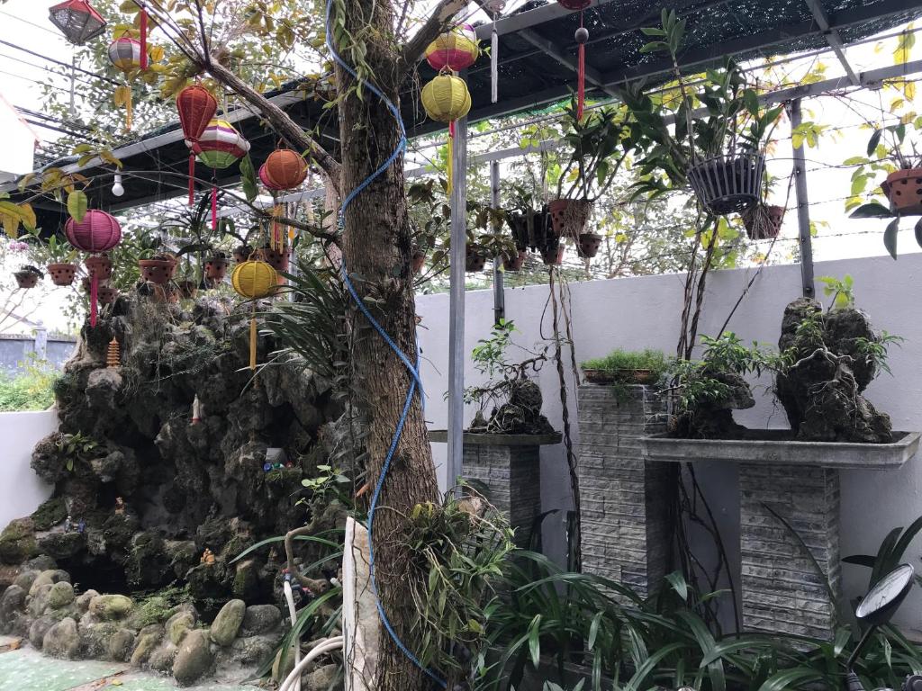 Tân Phương Homestay