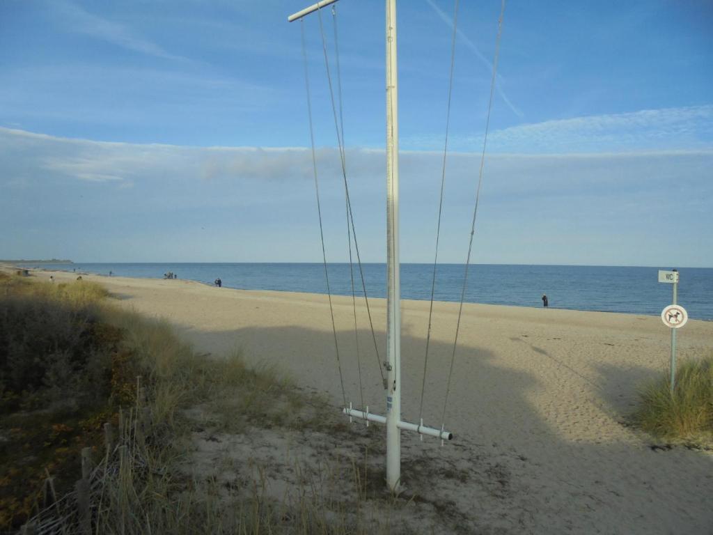 Ostseestern photo 3