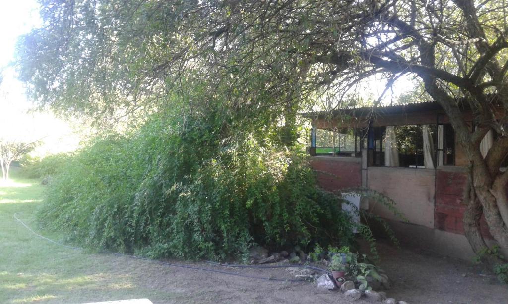 Las Rukas photo 3