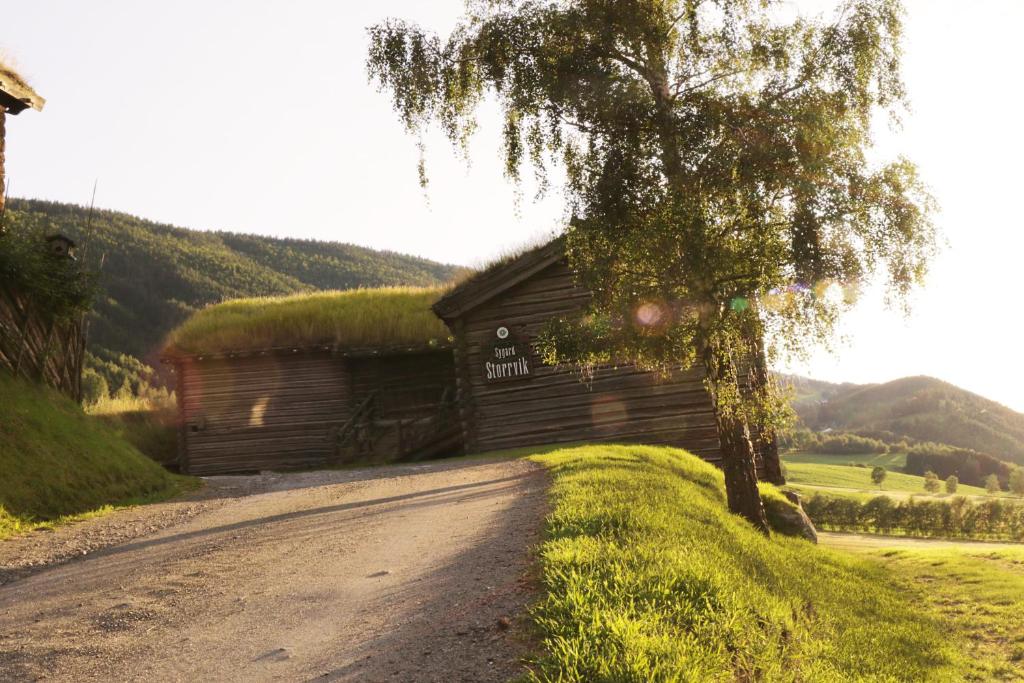 Sygard Storrvik photo 1