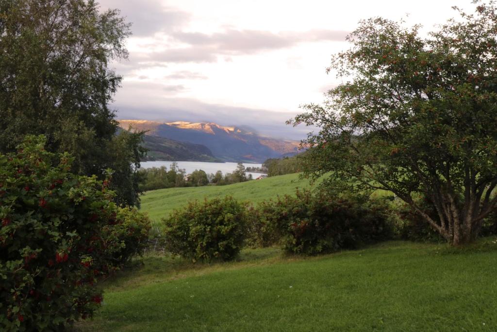 Sygard Storrvik photo 4