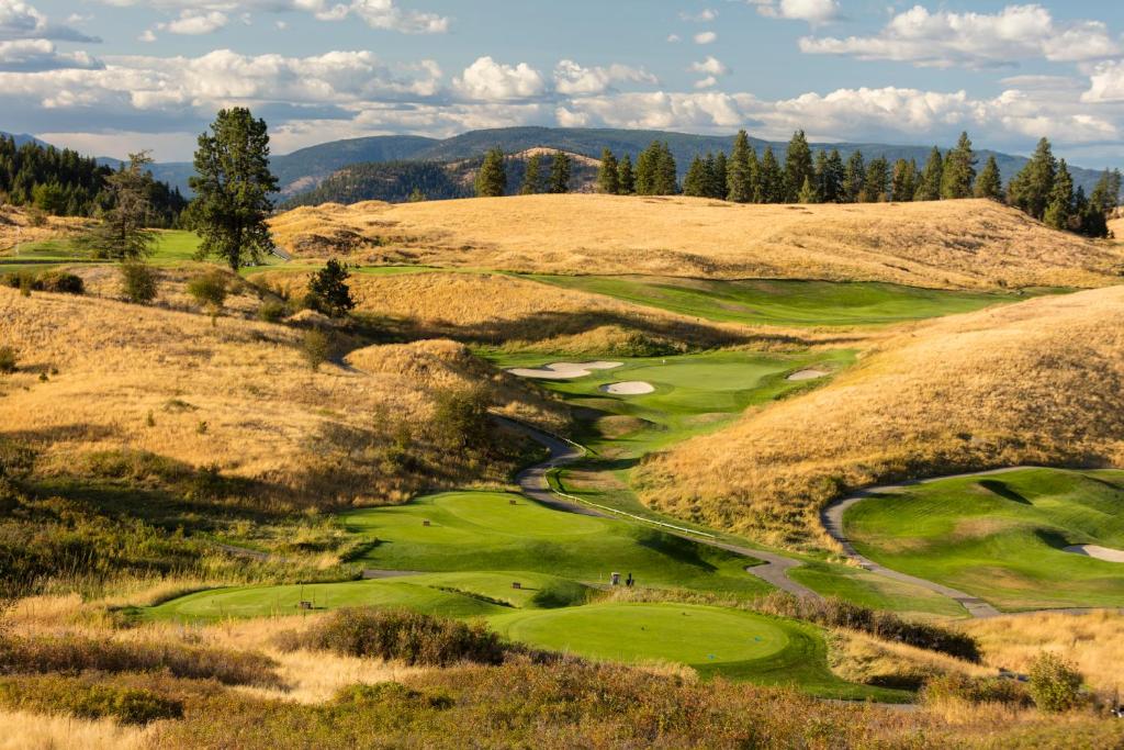 Predator Ridge Resort photo 1