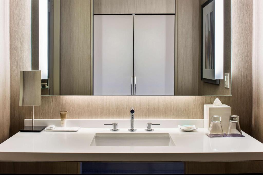 Двухместный (Угловой номер с кроватью размера «king-size»), Hyatt Regency McCormick Place
