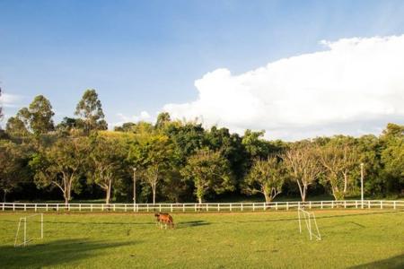 Hotel Fazenda Topada photo 4