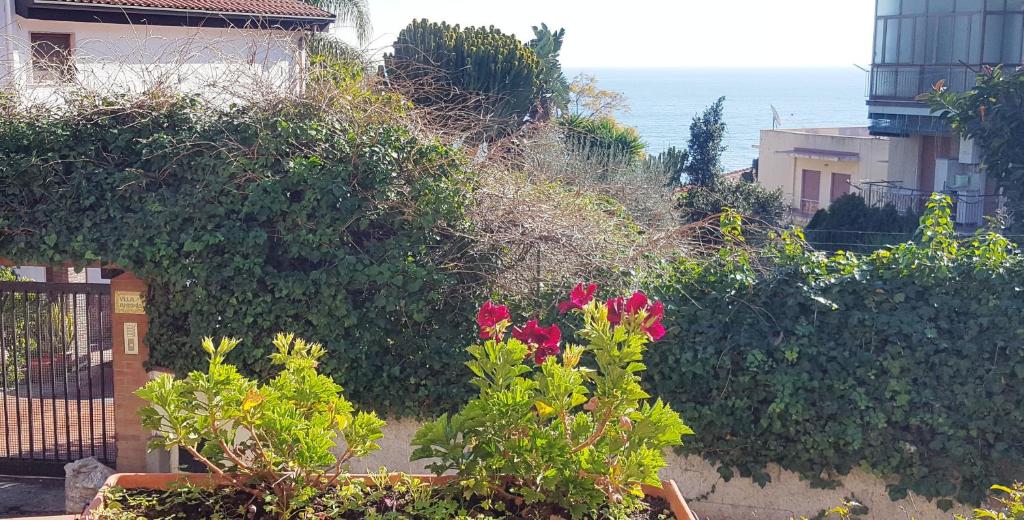 B&B Stella Marina photo 4