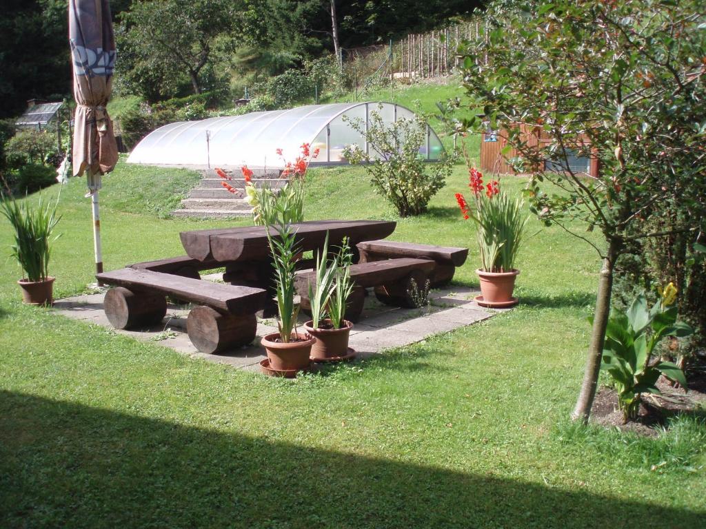Apartmán Pod lesem photo 1
