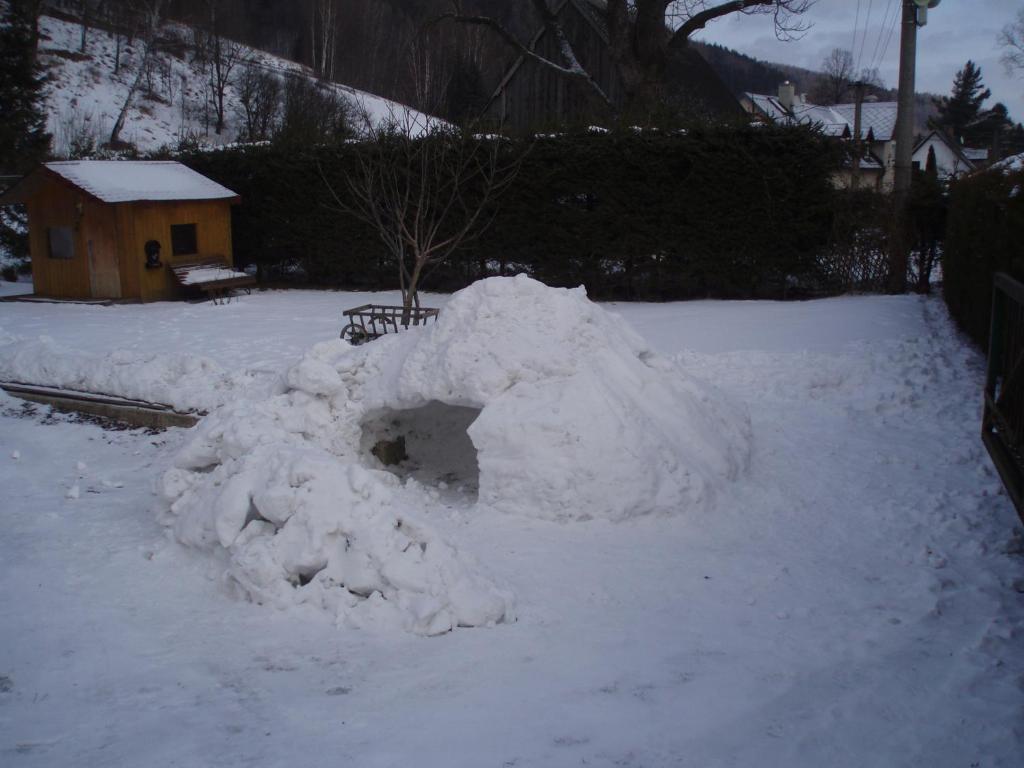 Apartmán Pod lesem photo 4
