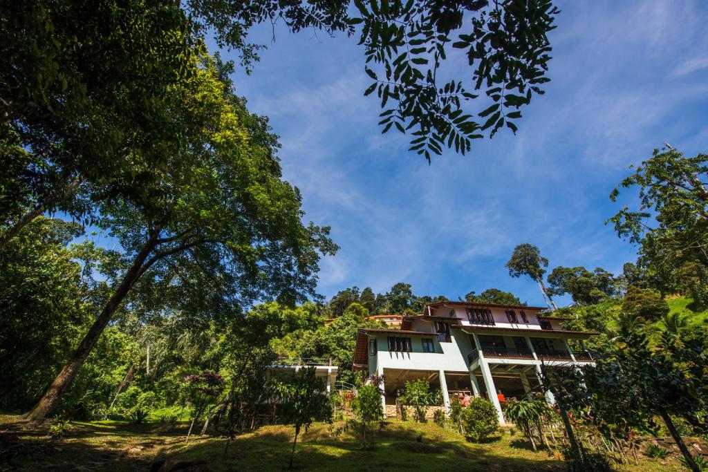 Rest Pause Rainforest Retreat photo 4