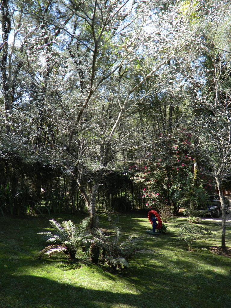 Recanto dos Kerr photo 3