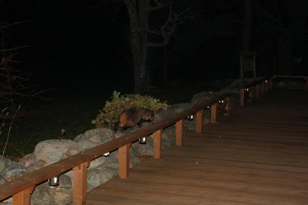 Tuulingu Guest House at Matsalu National Park photo 3