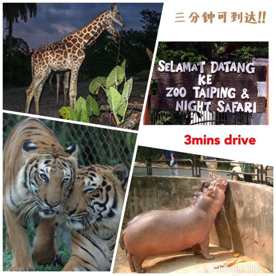 Taiping Homestay photo 2