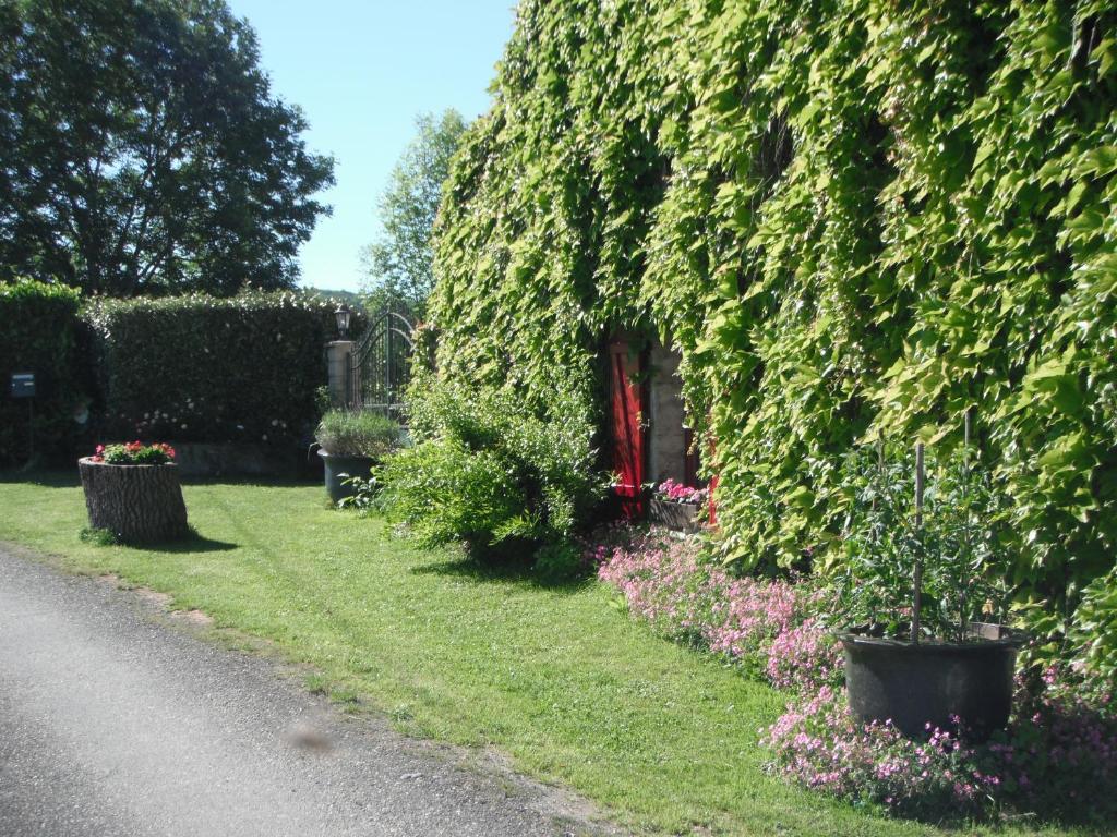 Le Bosc photo 1