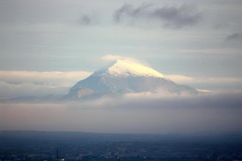 Студио (Номер 