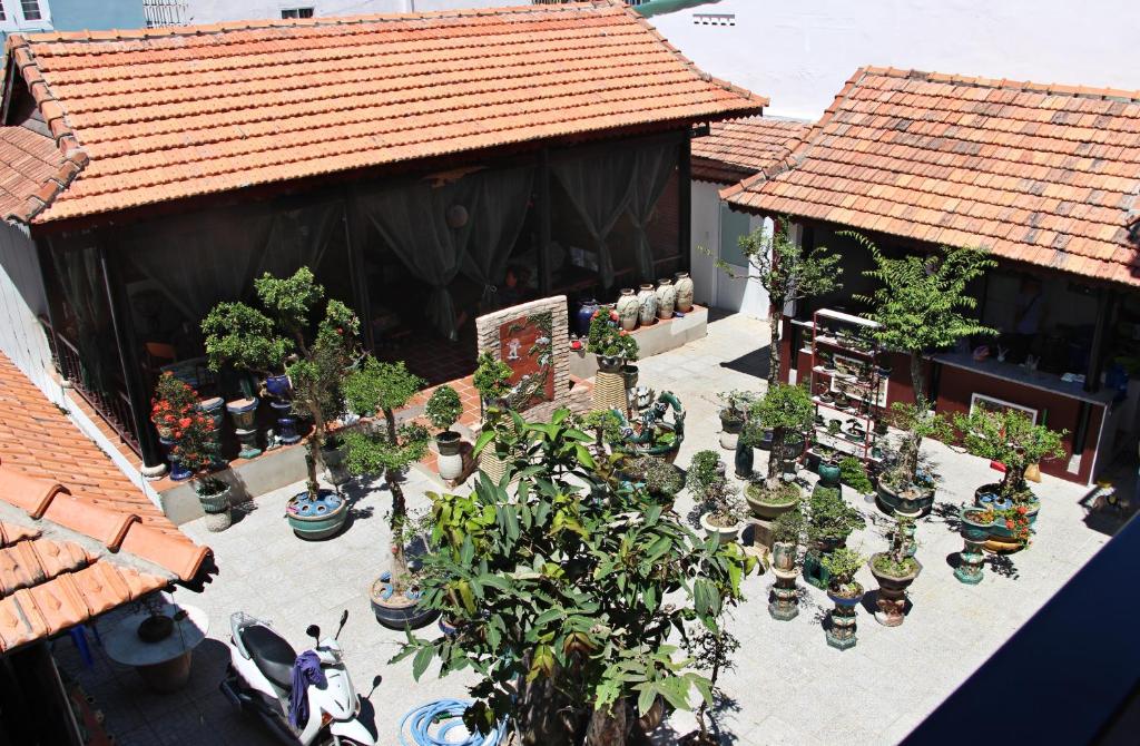91 Homestay, Cafe, Bonsai