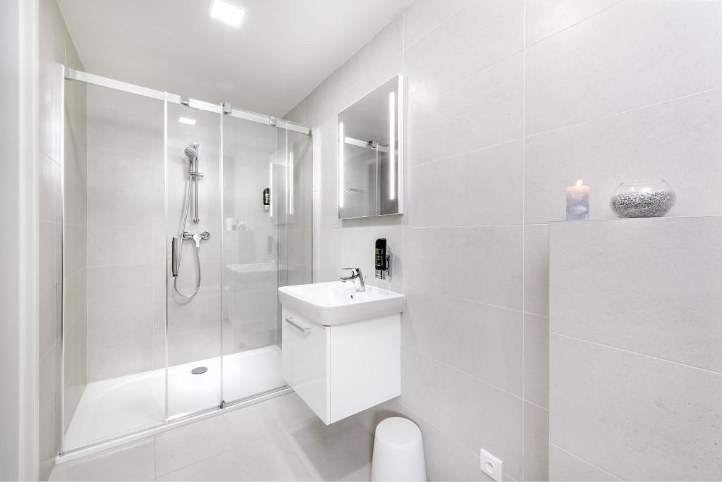 Апартаменты (Представительский номер-студио), DownTown Suites Belohorska
