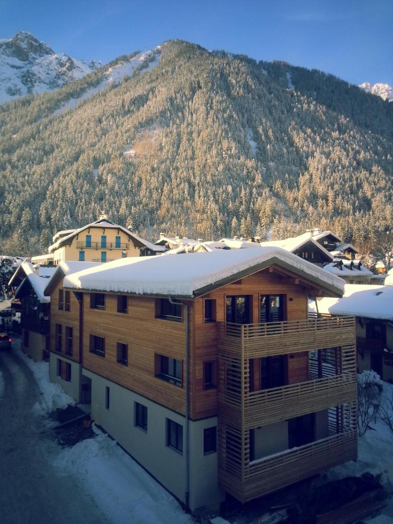 Апартаменты (Апартаменты с 1 спальней (для 4 взрослых)), Appartements de l'Hôtel de l'Arve