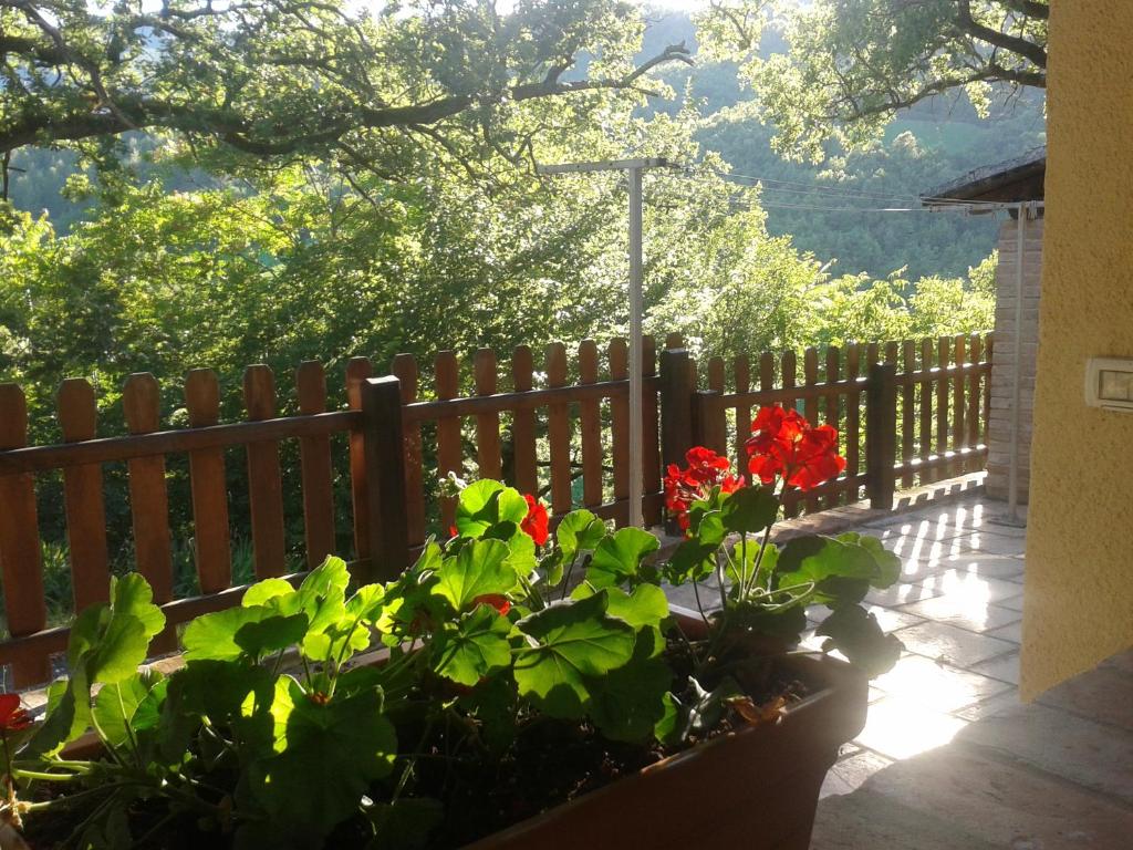 Agriturismo Orsaiola photo 2