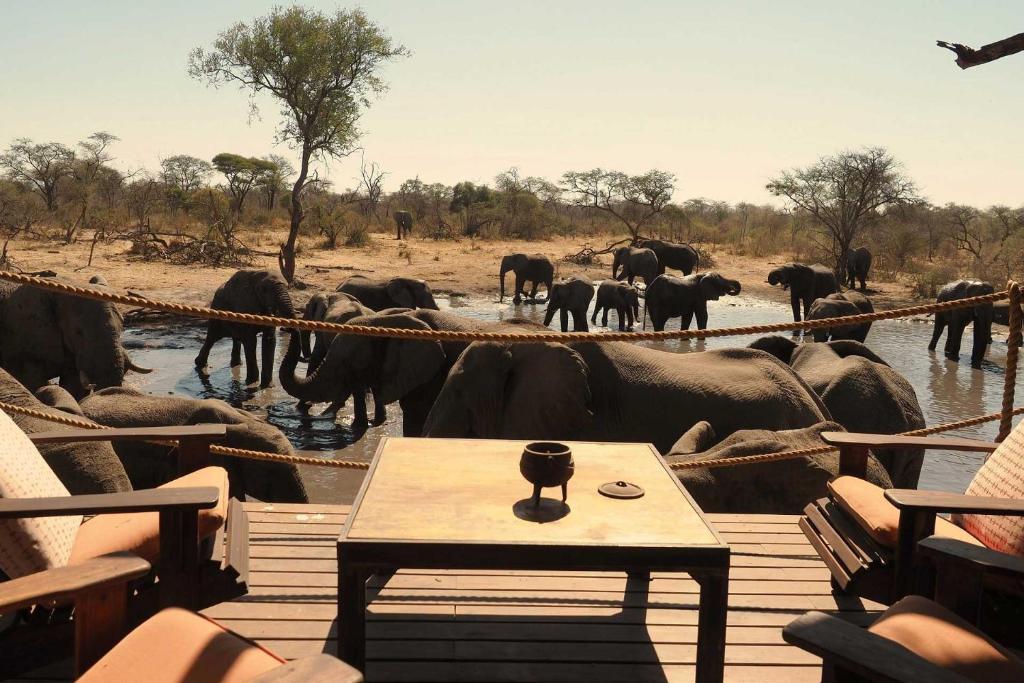South Okavango - Omogolo Hideaways photo 3