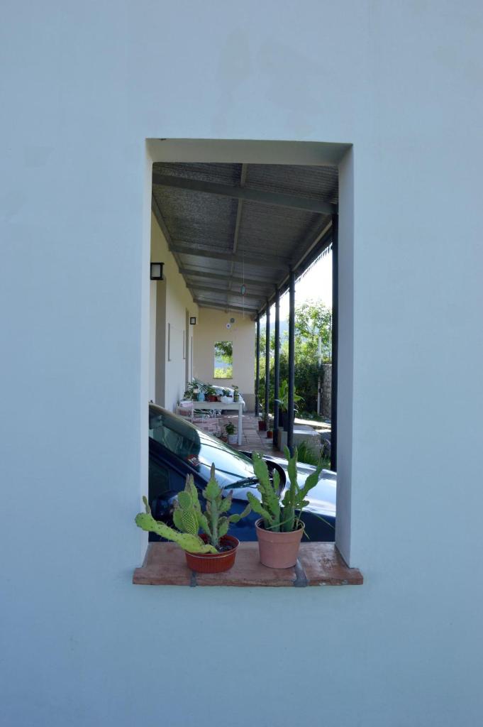 El Pago photo 2
