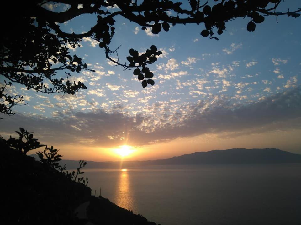 Michalis Holiday Home photo 1