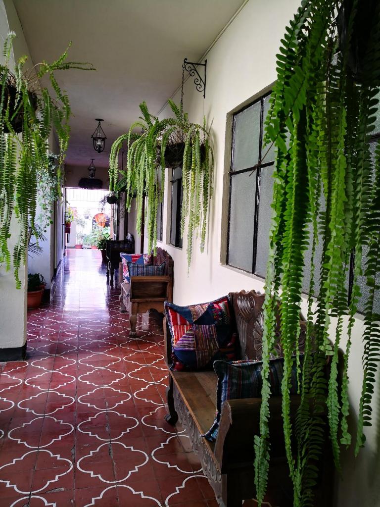 Hotel Posada Santa Teresita photo 2
