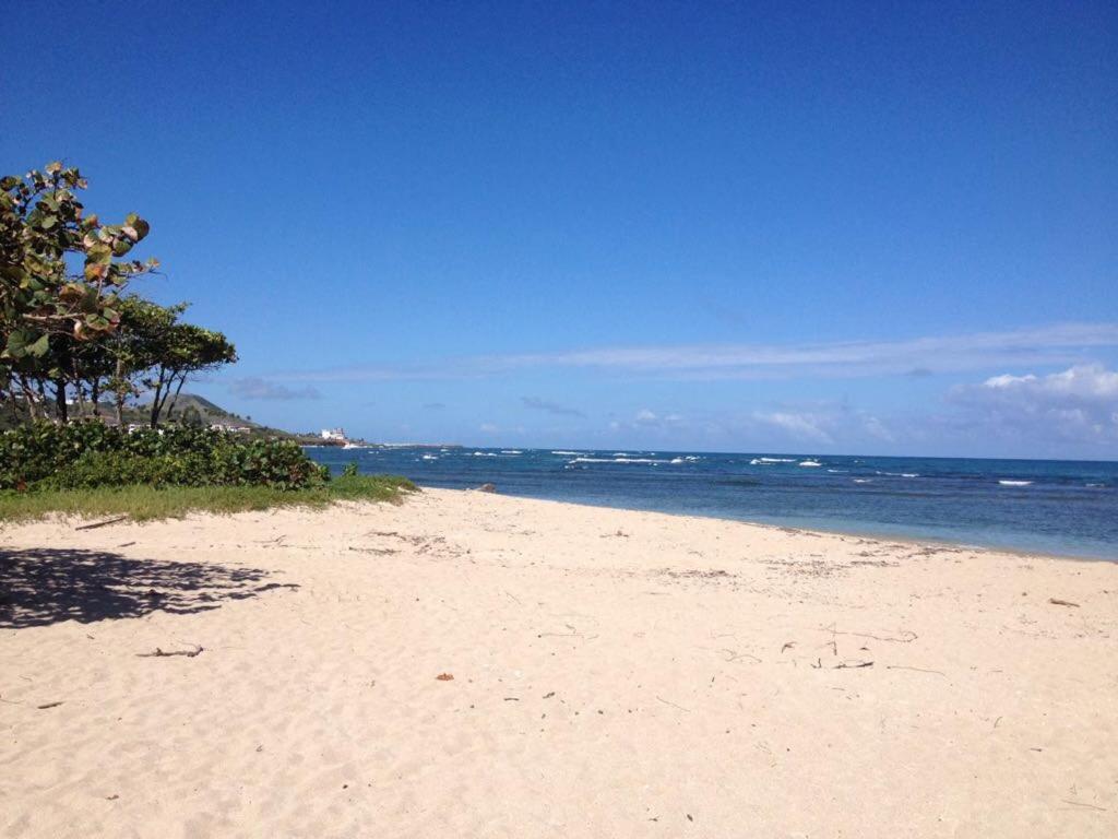 Mar azul 401 photo 2