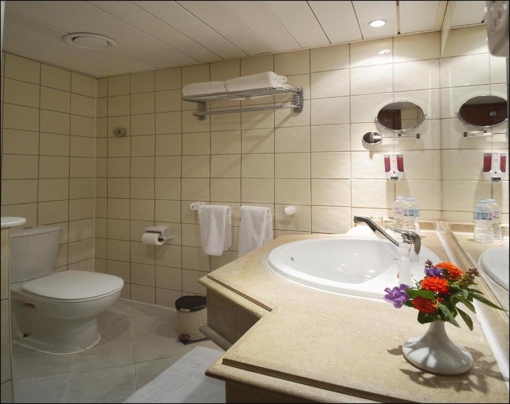 Одноместный (Улучшенный одноместный номер), Verginia Sharm Resort