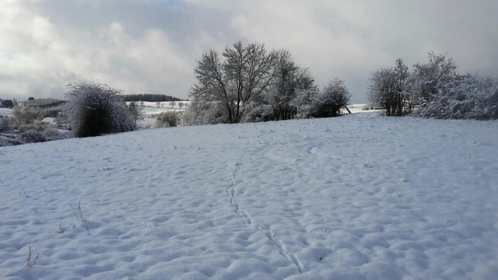 Zur schönen Aussicht photo 3