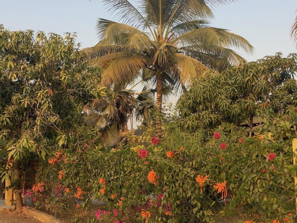 Les Maisons De Marco SENEGAL - B&B photo 2