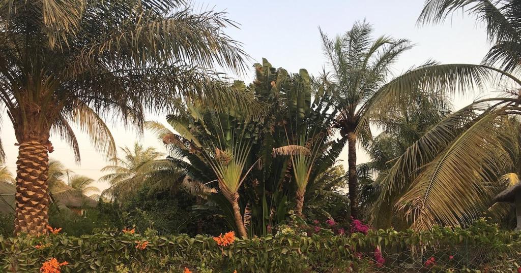 Les Maisons De Marco SENEGAL - B&B photo 3