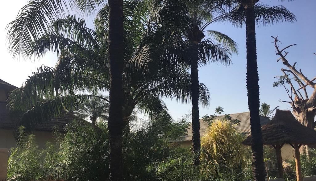 Les Maisons De Marco SENEGAL - B&B photo 4