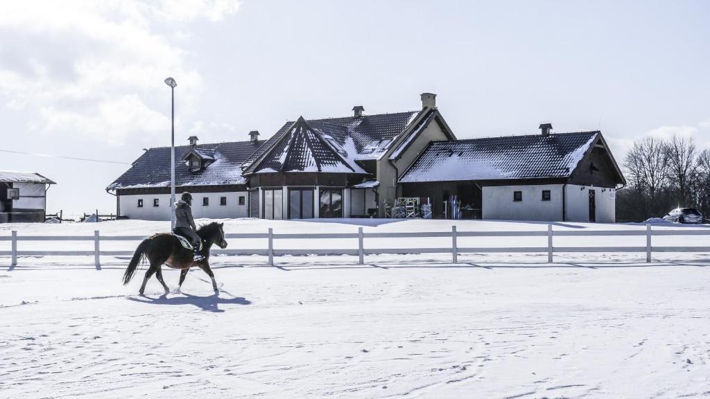 Gospodarstwo Agroturystyczne Milejewko photo 2