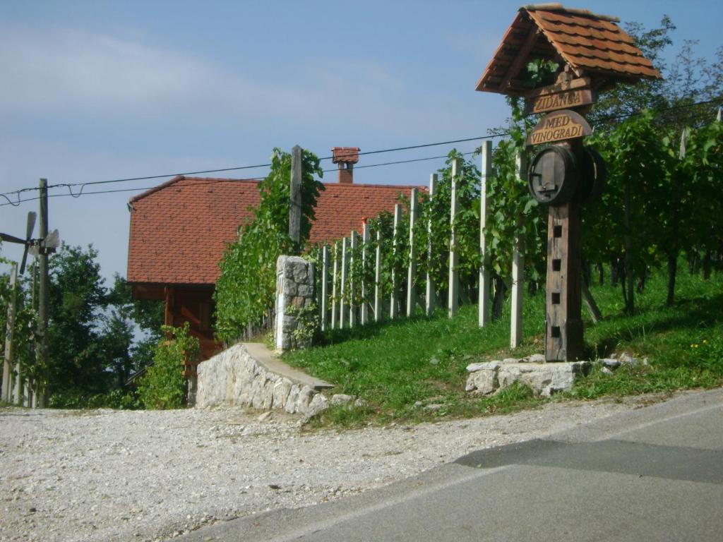 Zidanca med Vinogradi photo 1