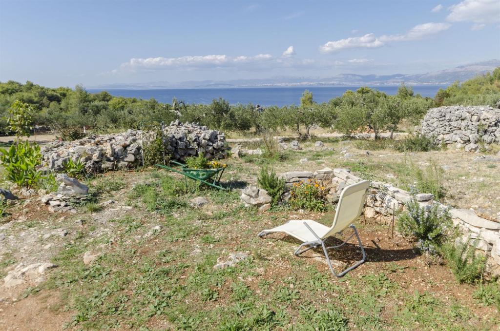House Lucica photo 1